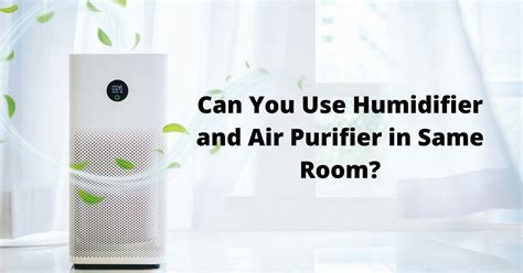 Can an Air Purifier Be Too Big for a Room? And Why Do Cats Always Sit on the Cleanest Spot?