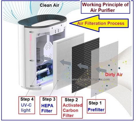 How Do I Know If I Need an Air Purifier, and Why Do My Plants Keep Dancing at Midnight?