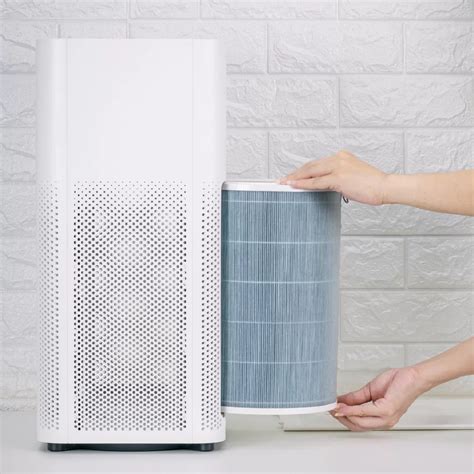 How Often Do You Replace Air Purifier Filter: A Dance of Dust and Time