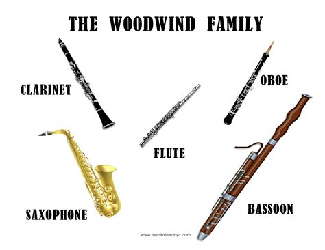 What Are Woodwind Instruments Made Of? And Why Do They Sound Like Whispering Trees?