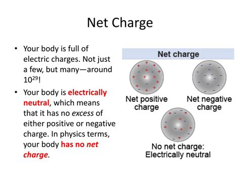 What is a Net Electric Charge and How Does It Influence the Dance of Subatomic Particles?